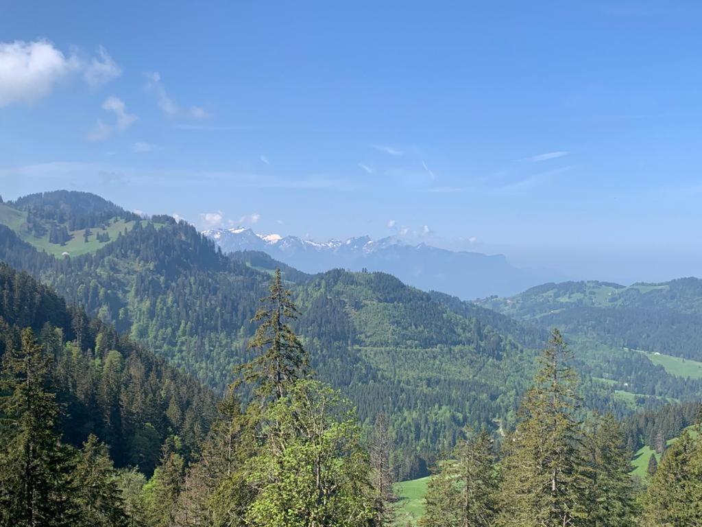 Boutique Hotel Corbetta - Spa 60M2 - La Montagne A 5 Minutes De L'Autoroute A12 Aux Paccots Sur Montreux - Nouveau Loft Familial - Profitez Du Lac Leman Et Des Montagnes En Meme Temps Les Paccots 外观 照片
