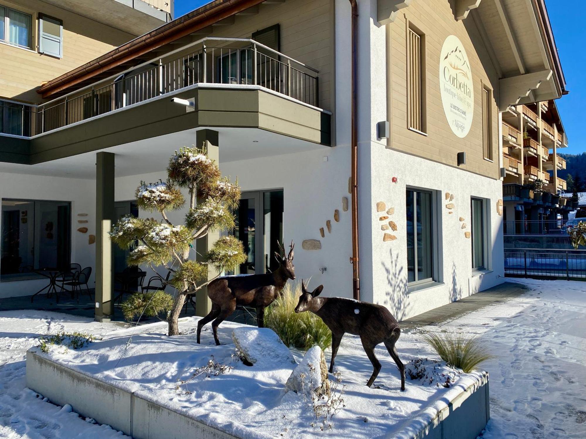 Boutique Hotel Corbetta - Spa 60M2 - La Montagne A 5 Minutes De L'Autoroute A12 Aux Paccots Sur Montreux - Nouveau Loft Familial - Profitez Du Lac Leman Et Des Montagnes En Meme Temps Les Paccots 外观 照片